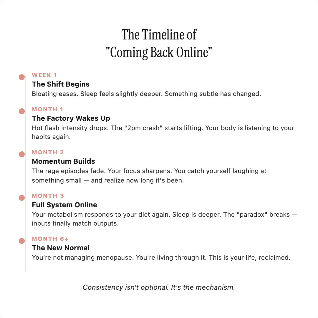 Advanced Menopause Support Gummies with Probiotic Blend