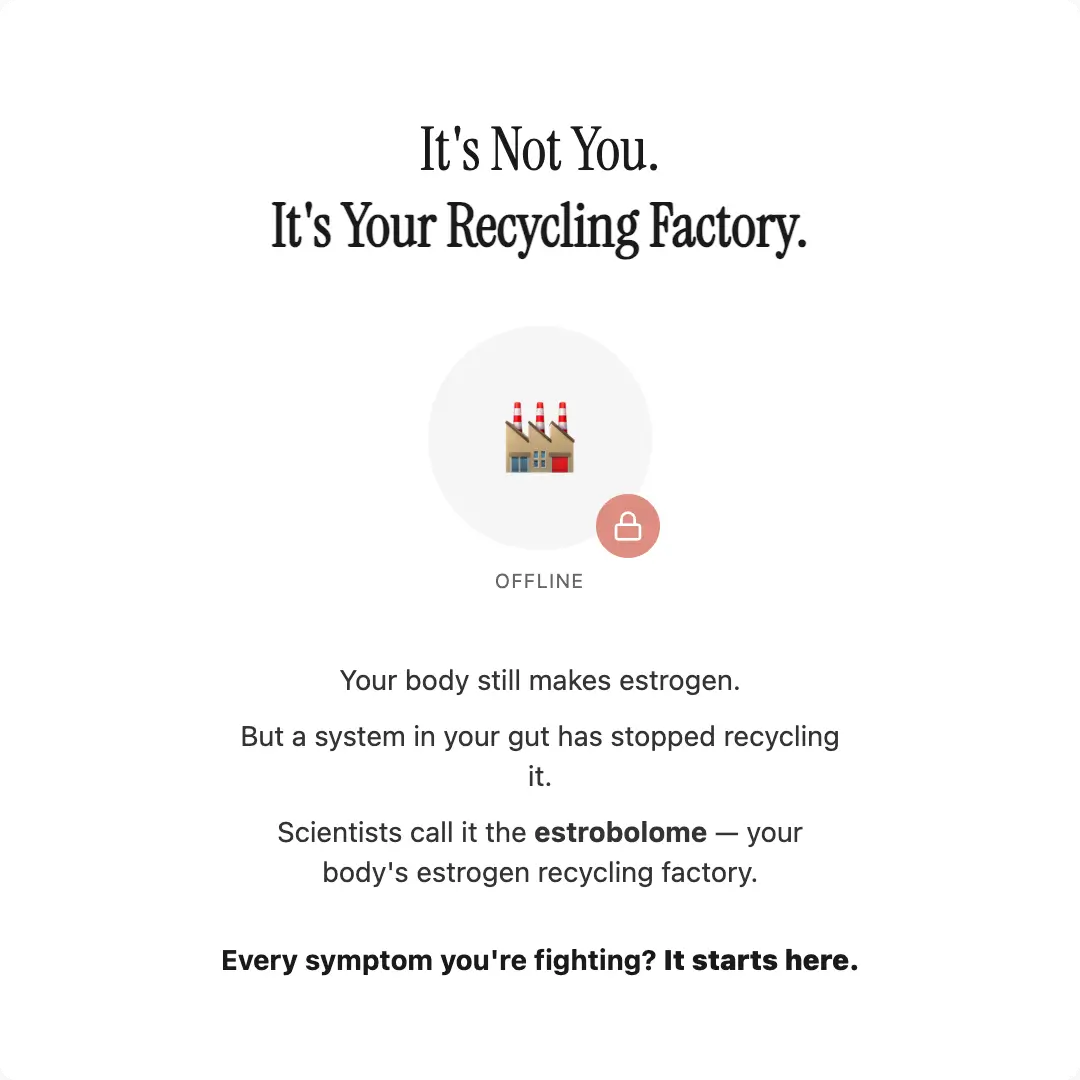 Advanced Menopause Support Gummies with Probiotic Blend