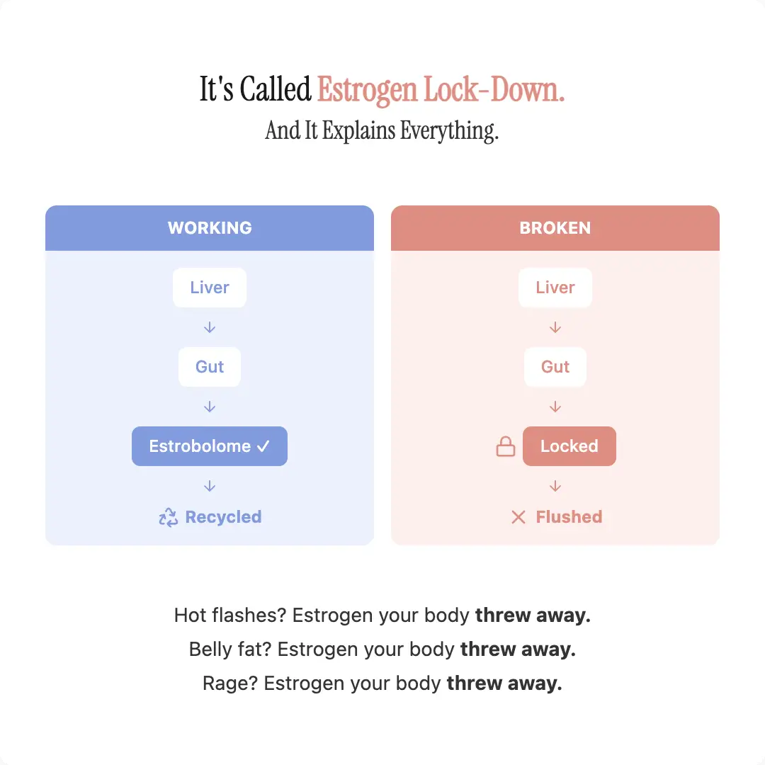 Advanced Menopause Support Gummies with Probiotic Blend