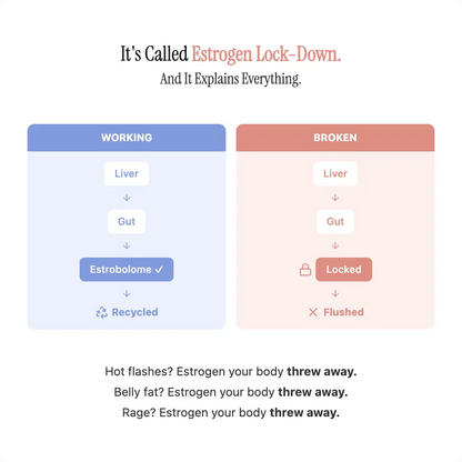 Advanced Menopause Support Gummies with Probiotic Blend