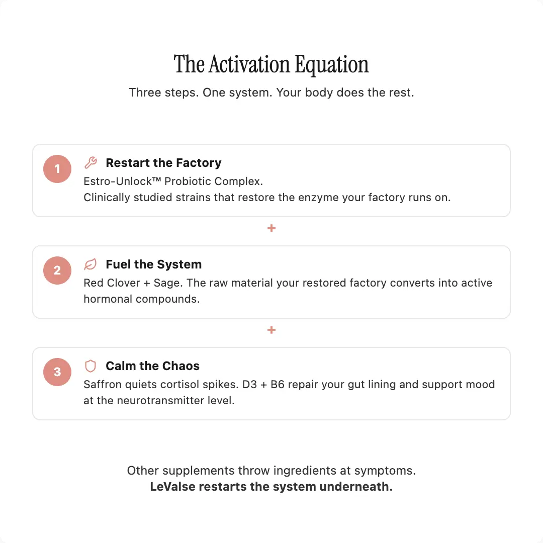 Advanced Menopause Support Gummies with Probiotic Blend