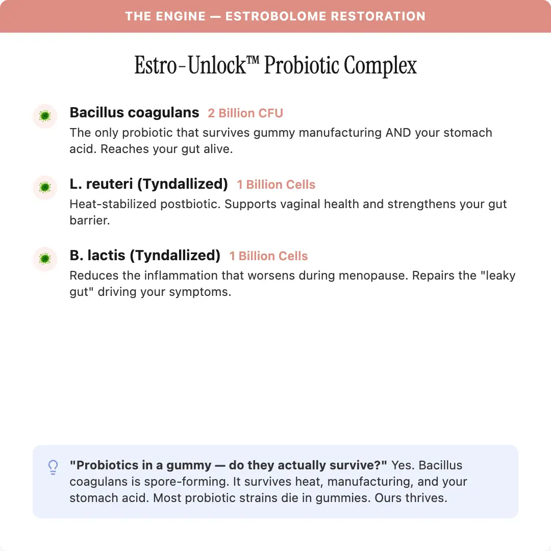 Advanced Menopause Support Gummies with Probiotic Blend