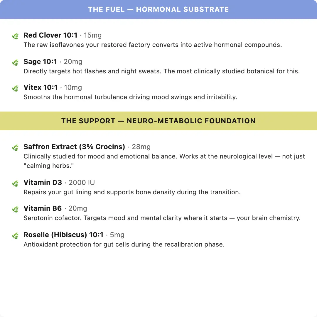 Advanced Menopause Support Gummies with Probiotic Blend